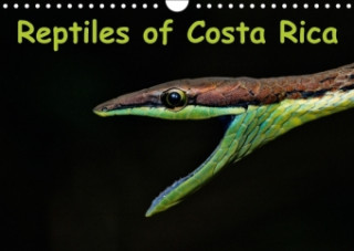 Reptiles of Costa Rica / UK-Version 2018