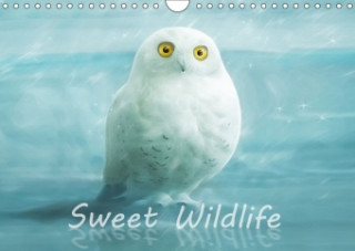 Sweet Wildlife / UK-Version / Birthday Calendar 2018