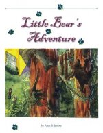 Little Bear's Adventure