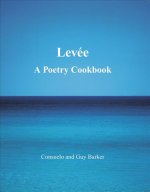 Levee