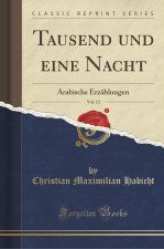 Tausend und eine Nacht, Vol. 13