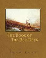 BK OF THE RED DEER