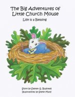 Big Adventures of Little Church Mouse