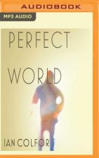 PERFECT WORLD                M