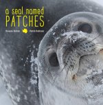 Seal Named Patches