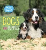 DOGS & PUPPIES