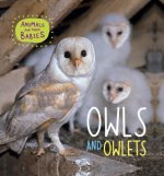 OWLS & OWLETS
