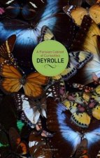 Parisian Cabinet of Curiosities: Deyrolle