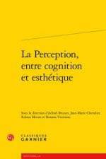 FRE-PERCEPTION ENTRE COGNITION