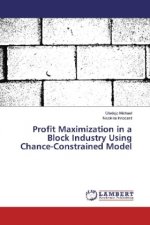 Profit Maximization in a Block Industry Using Chance-Constrained Model
