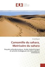 Camomille du sahara, Matricaire du sahara
