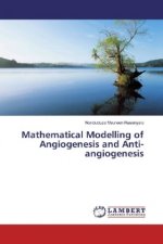 Mathematical Modelling of Angiogenesis and Anti-angiogenesis