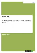 A strategic analysis on the New York Red Bulls