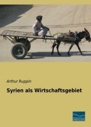 Syrien als Wirtschaftsgebiet