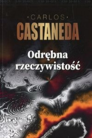 Odrebna rzeczywistosc