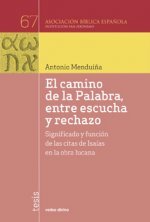El camino de la Palabra, entre escucha y rechazo: Significado y función de las citas de Isaías en la obra lucana