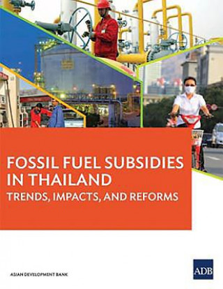 Fossil Fuel Subsidies in Thailand