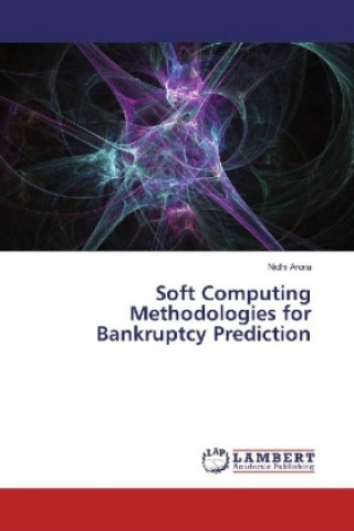Soft Computing Methodologies for Bankruptcy Prediction