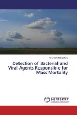 Detection of Bacterial and Viral Agents Responsible for Mass Mortality