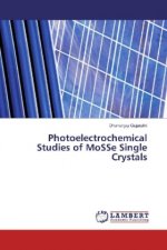 Photoelectrochemical Studies of MoSSe Single Crystals