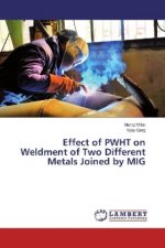 Effect of PWHT on Weldment of Two Different Metals Joined by MIG