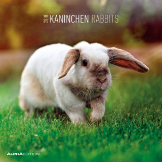 Kaninchen 2018 - Rabbits - Broschürenkalender (30 x 60 geöffnet) - Tierkalender - Wandplaner