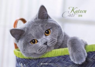 Katzen 2018 - Cats - Bildkalender (42 x 60 geöffnet) - Tierkalender