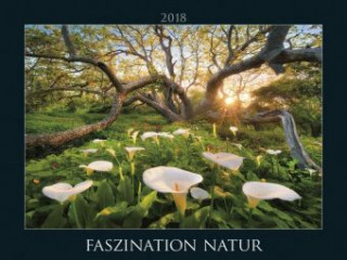 Faszination Natur 2018 - Fascinating Nature - Bildkalender quer (56 x 42) - Landschaftskalender