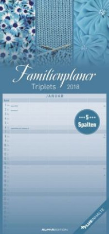 Familienplaner Triplets 2018 - Familientermine / Familientimer (21 x 45) - mit Ferienterminen - 5 Spalten - Wandplaner