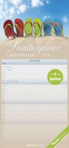 Familienplaner Lebensfreude 2018 - Familientermine / Familientimer (21 x 45) - mit Ferienterminen - 5 Spalten - Wandplaner