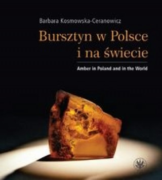 Bursztyn w Polsce i na swiecie