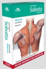 Anatomia Sobotta Flashcards. Miesnie. Polskie mianownictwo anatomiczne