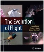 Evolution of Flight