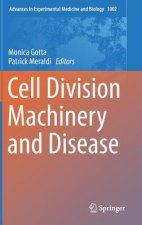 Cell Division Machinery and Disease