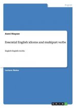 Essential English idioms and multipart verbs