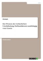 Der Prozess der richterlichen Urteilsfindung. Einflussfaktoren unabhängig vom Gesetz