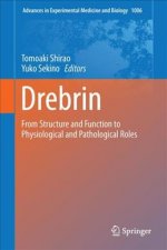 Drebrin: From Structure and Function to Physiological and Pathological Roles
