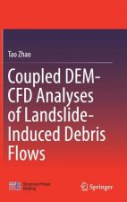 Coupled DEM-CFD Analyses of Landslide-Induced Debris Flows
