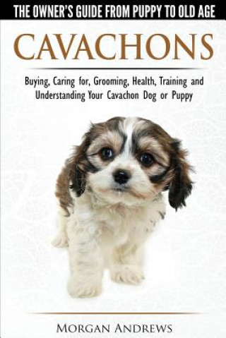 Cavachons - The Owner's Guide from Puppy to Old Age - Choosing, Caring for, Grooming, Health, Training and Understanding Your Cavachon Dog or Puppy