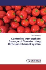 Controlled Atmosphere Storage of Tomato using Diffusion Channel System