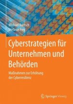 Cyberstrategien fur Unternehmen und Behorden