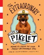 Extraordinary Life of Pikelet