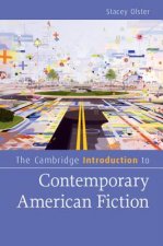 Cambridge Introduction to Contemporary American Fiction