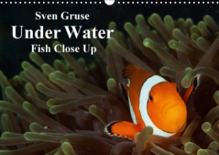 Sven Gruse Under Water - Fish Close Up 2018