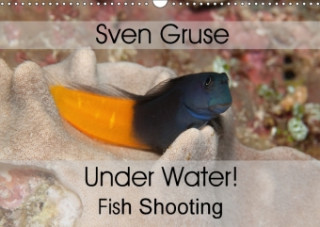Sven Gruse Under Water! Fish Shooting 2018