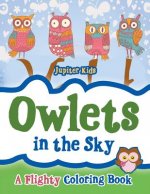 Owlets in the Sky