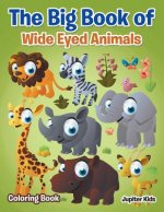 Big Book of Wide Eyed Animals Coloring Book