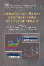 Infrared and Raman Spectroscopies of Clay Minerals
