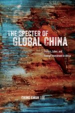 Specter of Global China