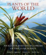 Plants of the World: An Illustrated Encyclopedia of Vascular Plants